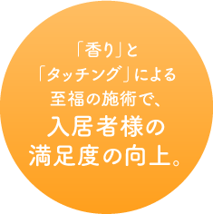 プリスティンダイヤモンドピールフェイシャル